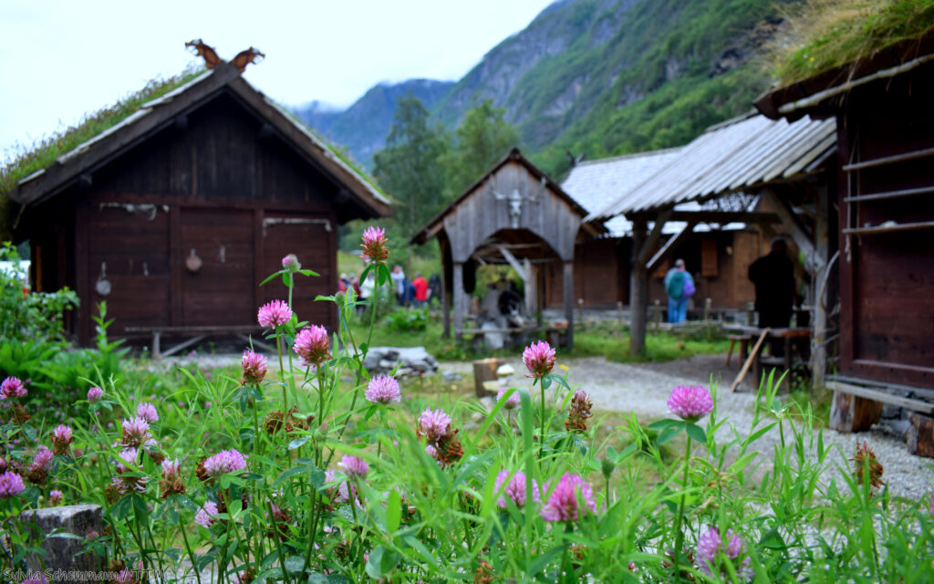 Blumen vor Holzhäusern im Wikinger-Dorf Gudvangen, Norwegen