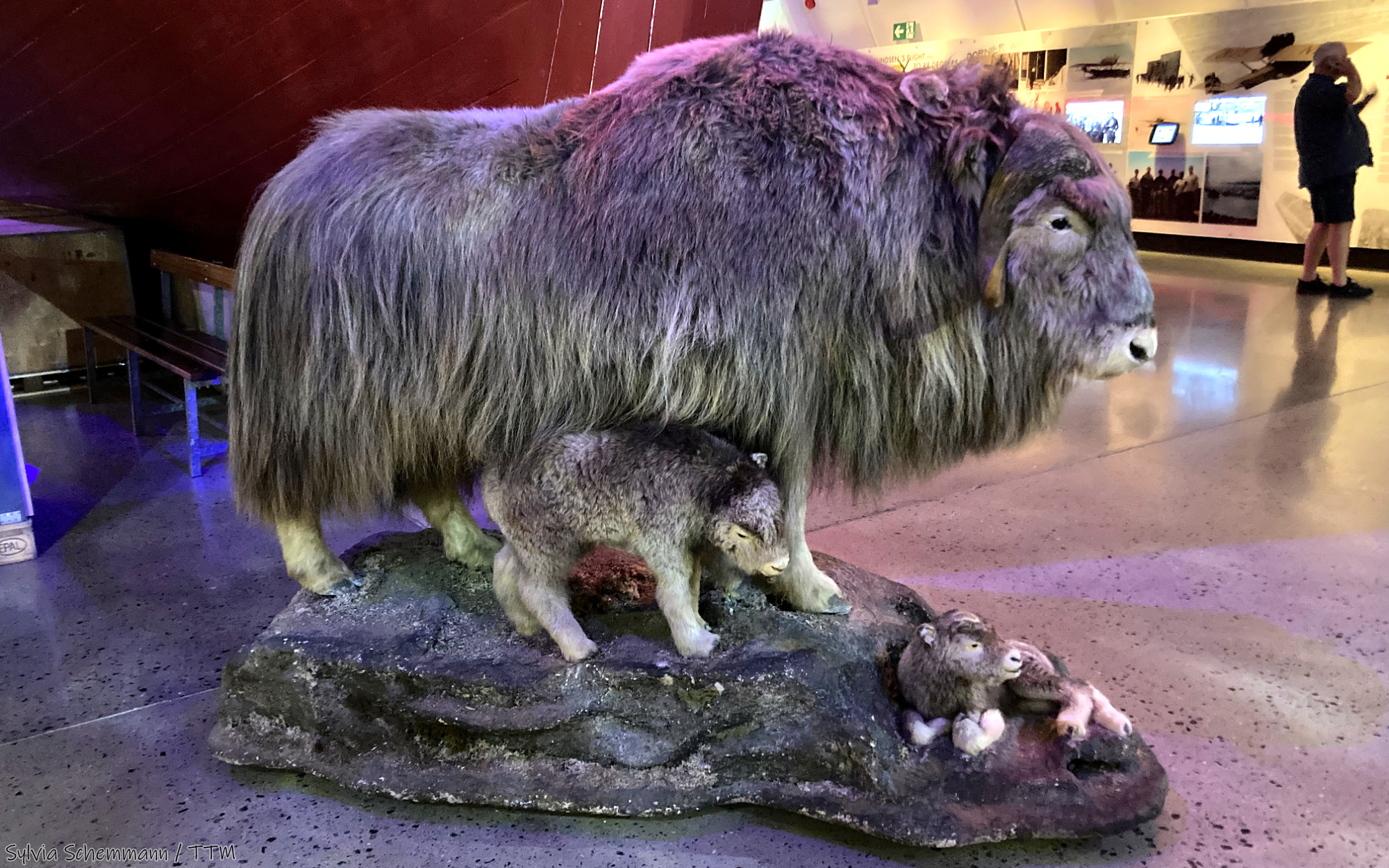 Modell von einem großen Tier mit zwei Jungtieren