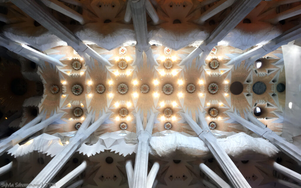 Decke des Innenraum der Sagrada Familia in Barcelona