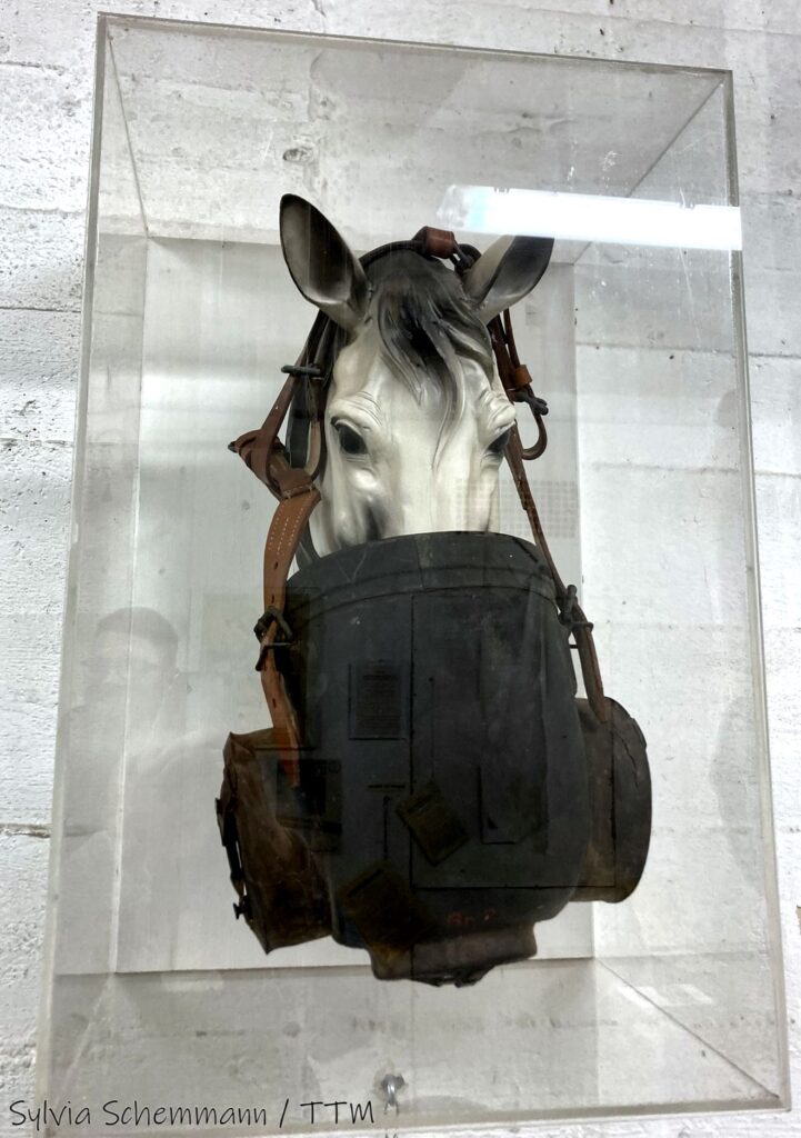 Ein Kunststoff-Pferdekopf mit einer Gasmaske für Pferde in einer Vitrine