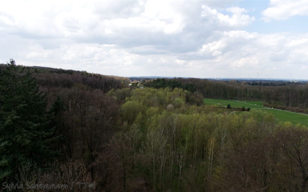 Blick auf den Hügel und den Archäologischen Park, Varusschlacht-Museum und Archäologischer Park Kalkriese, Niedersachsen