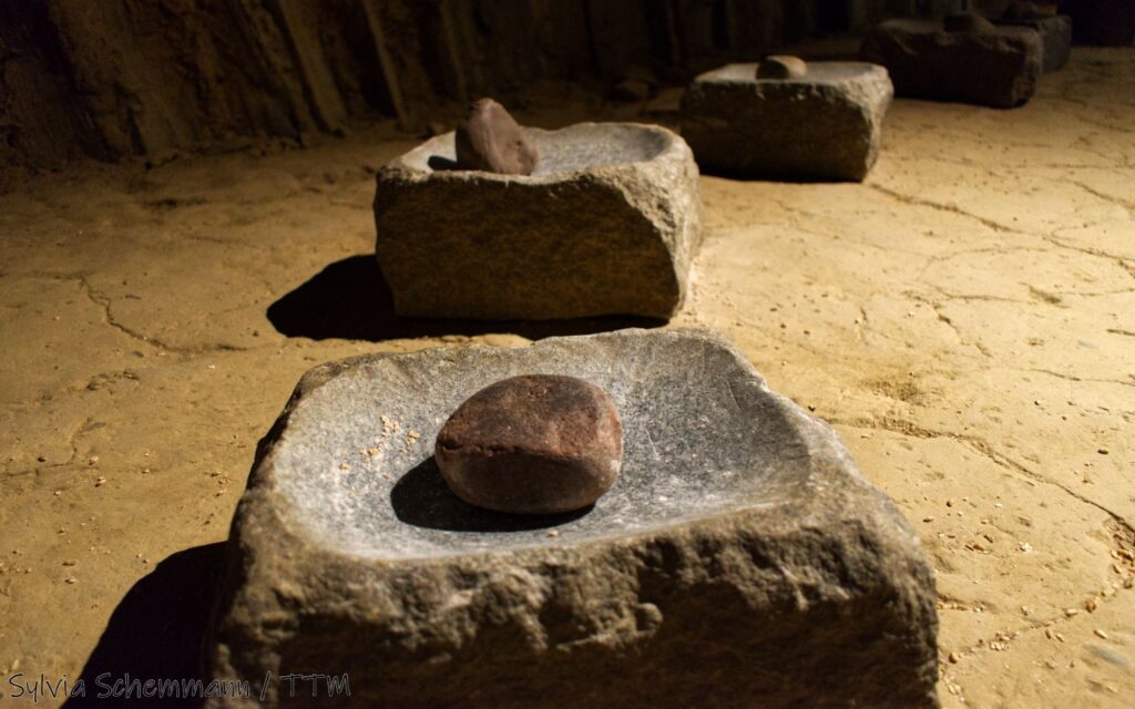 Große Steine mit Vertiefung, in denen kleine Steine zum Mahlen von Getreide liegen, im Archäologischen Freilichtmuseum Oerlinghausen
