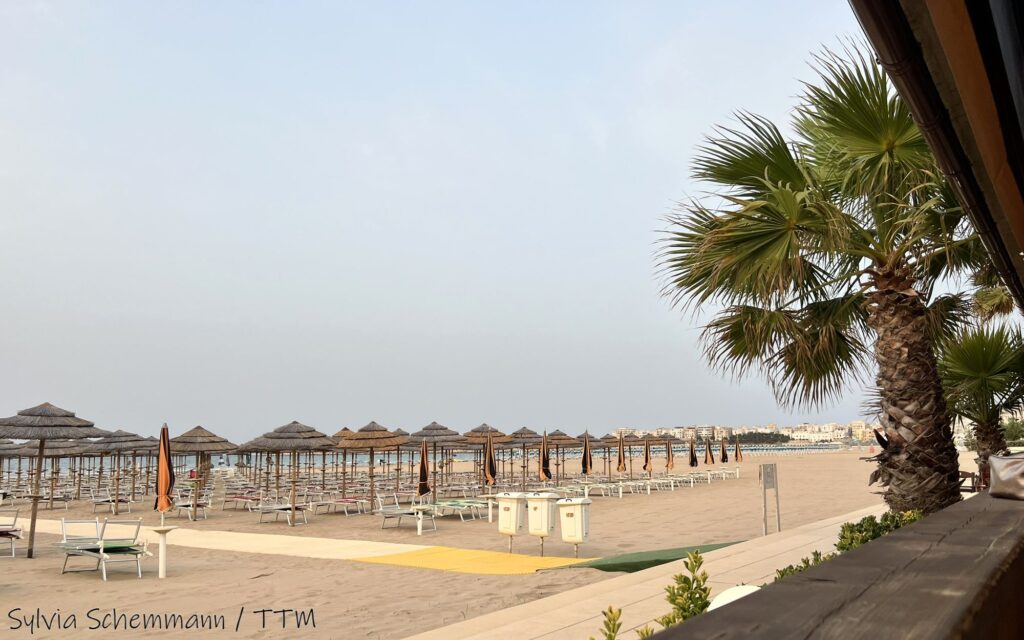 Blick auf einen Strand mit Liegen und Stroh-Sonnenschirmen in Vieste. Am rechten Rand ist eine Palme zu sehen.