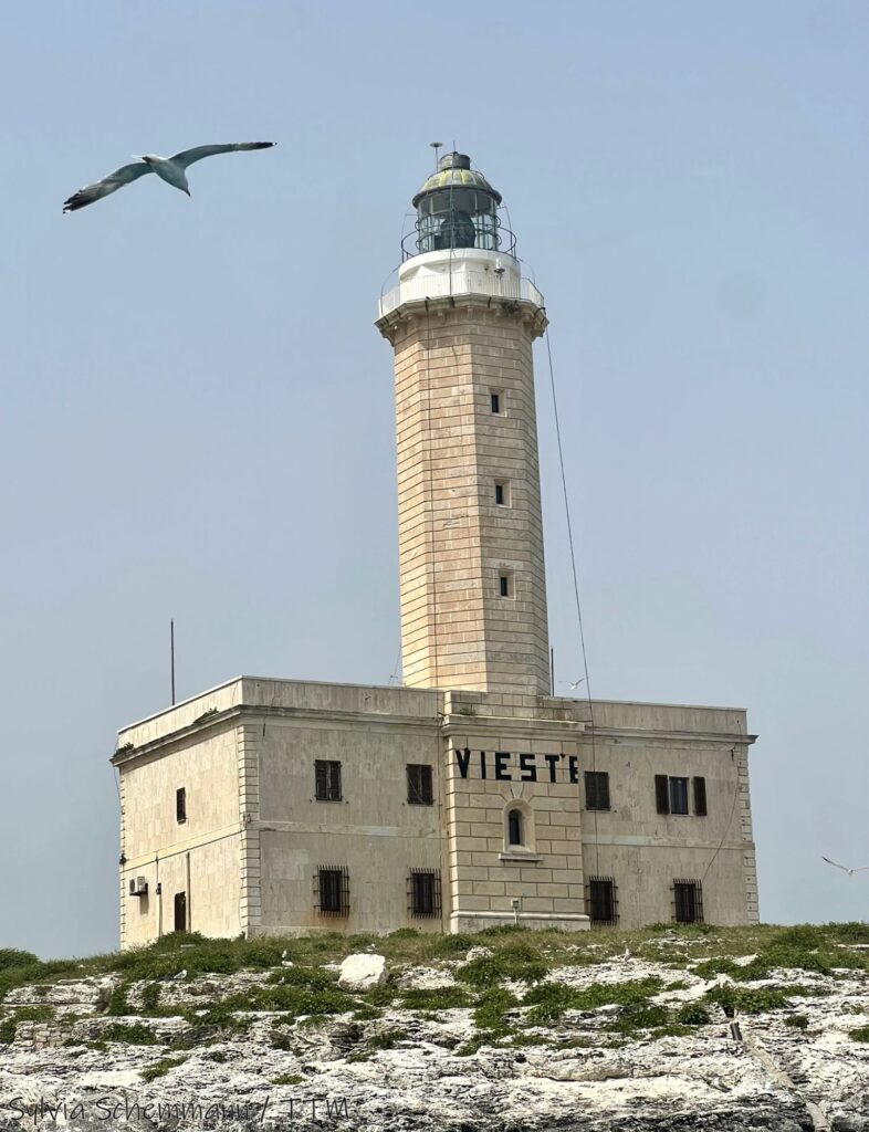 Ein Leuchtturm aus beigem Sandstein, mit der Aufschrift "Vieste", darüber fliegt eine Möwe.