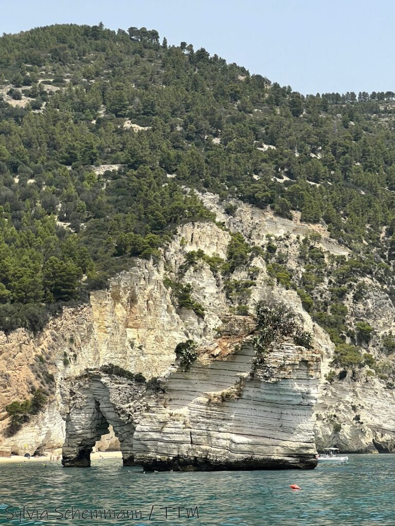 Eine Kalkstein-Formation im Meer bei Vieste, die aussieht wie ein Pferd, das aus dem Meer trinkt.