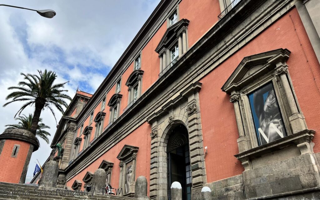 Rötliche Fassade, Archäologisches Nationalmuseum Neapel, vor blauem Himmel und einer Palme daneben